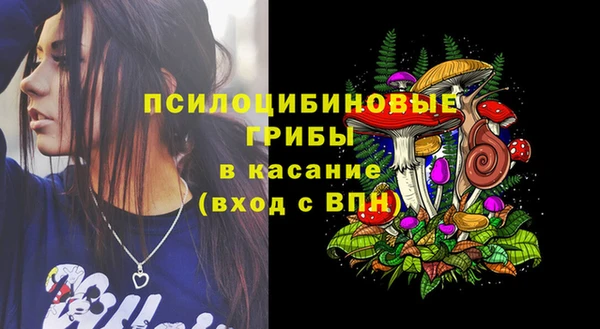 а пвп мука Надым