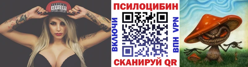 Купить  Сегежа  Псилоцибиновые грибы Psilocybe 